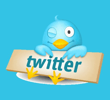 Twitter - bird